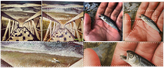 Illustration for article titled I'm Going to Turn All My Instagram Pictures Into Oil Paintings